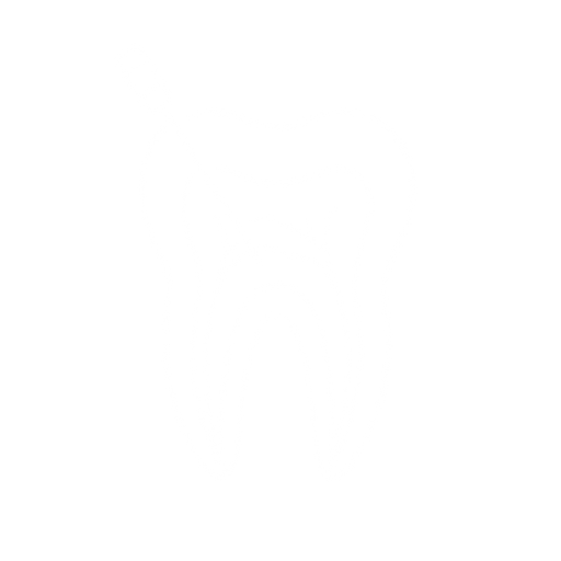 Odontologia