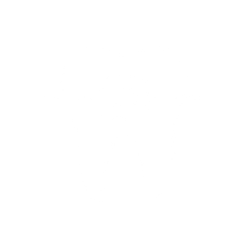 Odontologia