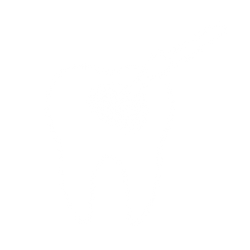 Odontologia