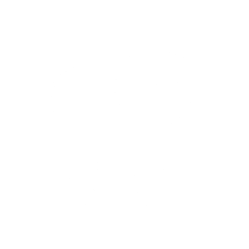 Odontologia
